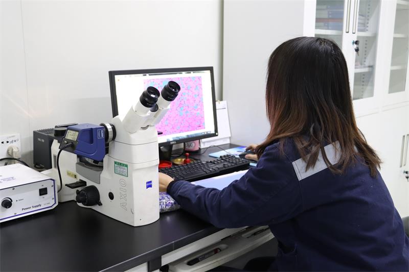 綠色智造，引領(lǐng)未來(lái)！明泰鋁業(yè)產(chǎn)品結(jié)構(gòu)升級(jí)與再生鋁戰(zhàn)略深化之路